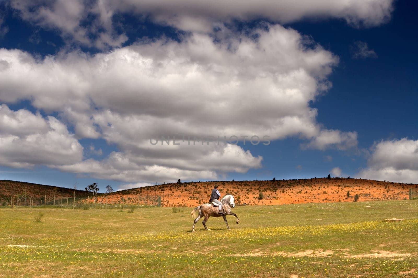 Riding a horse in a meadow