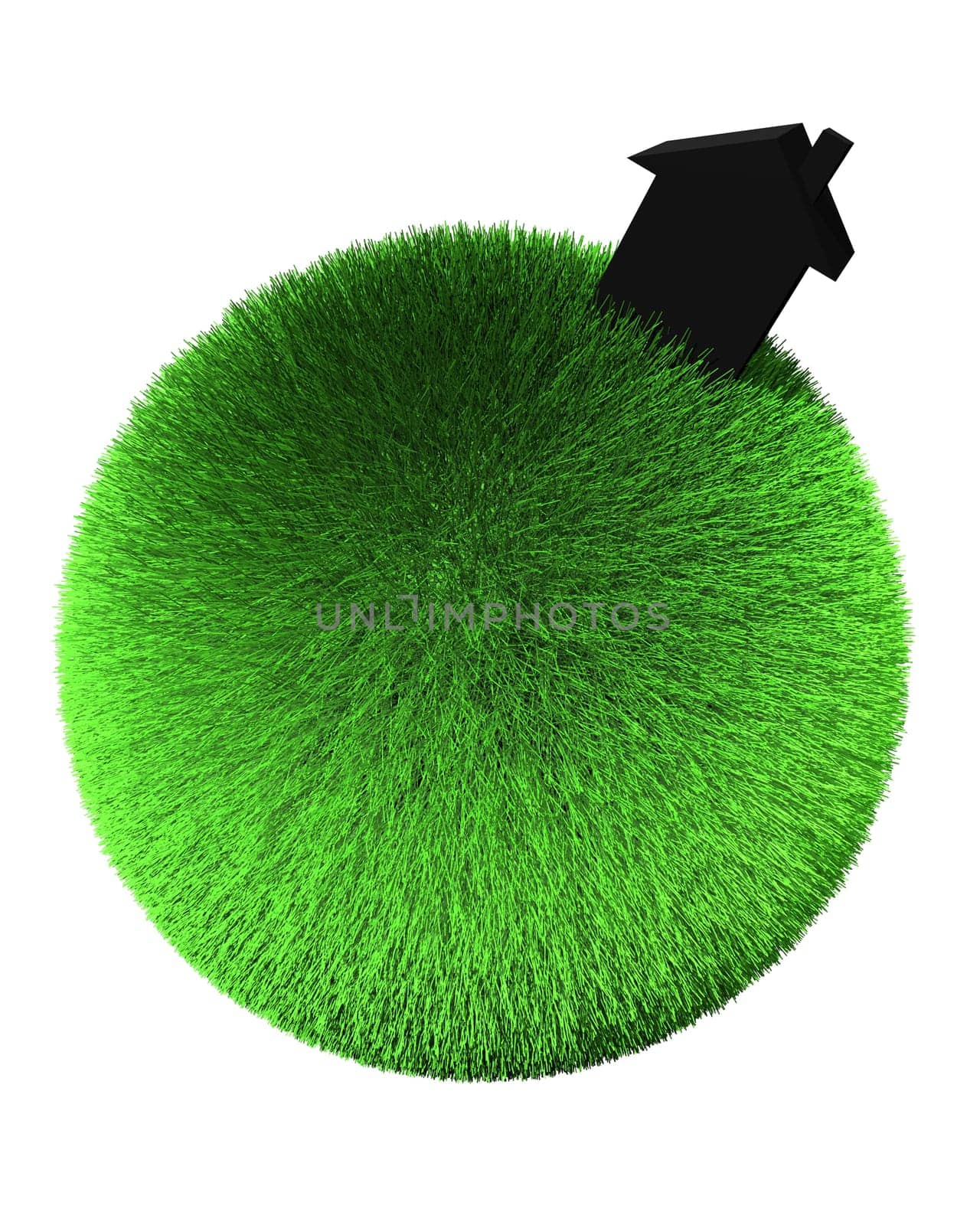 black house on sphere of grass