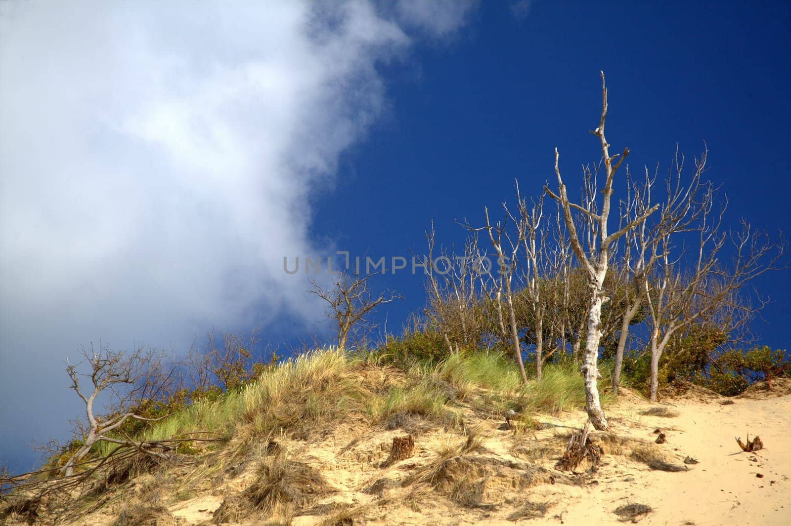 on top of the dune