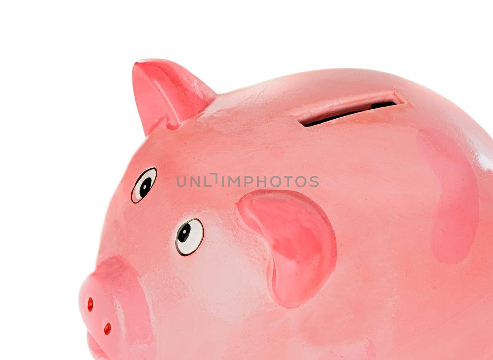 piggy bank pink