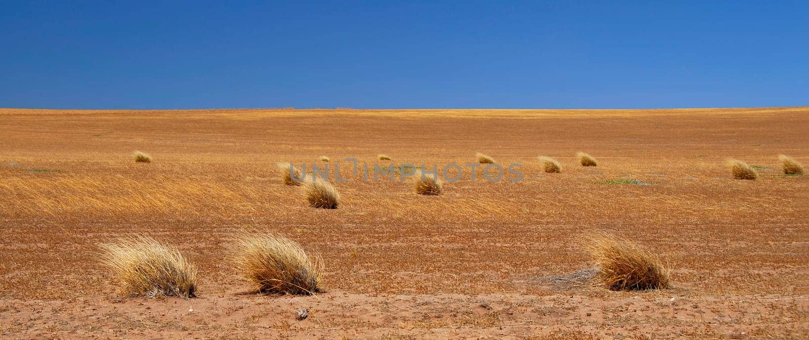 Australian Wasteland