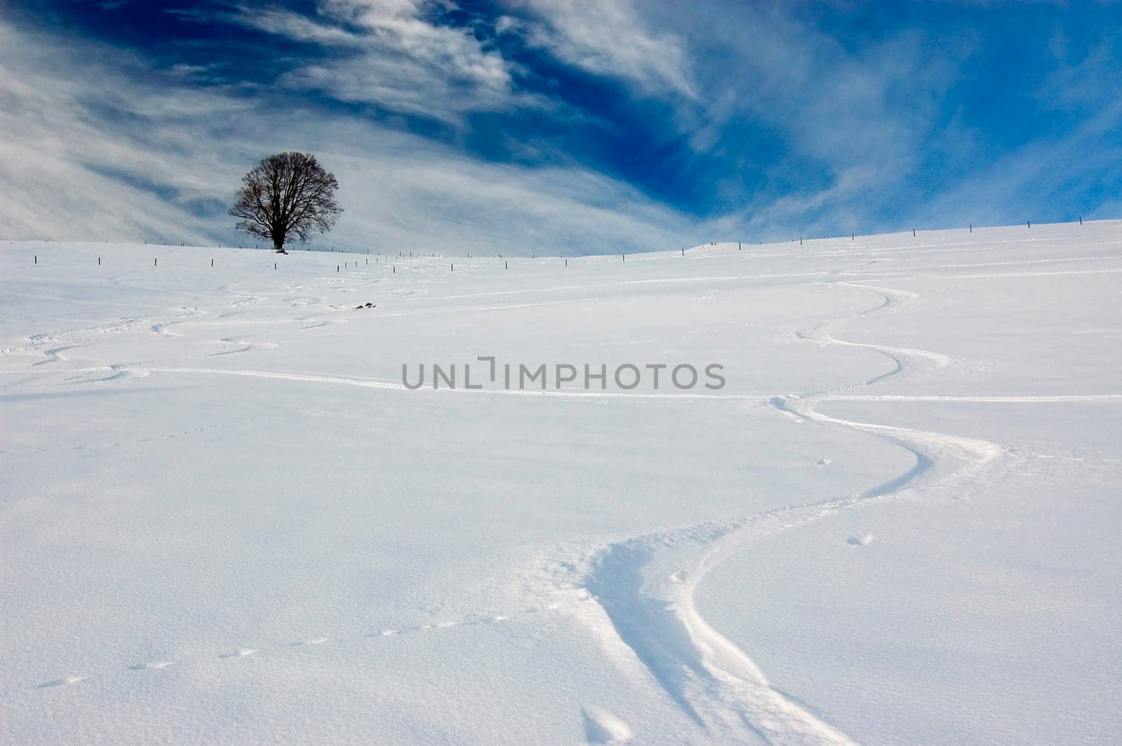 Snow trail