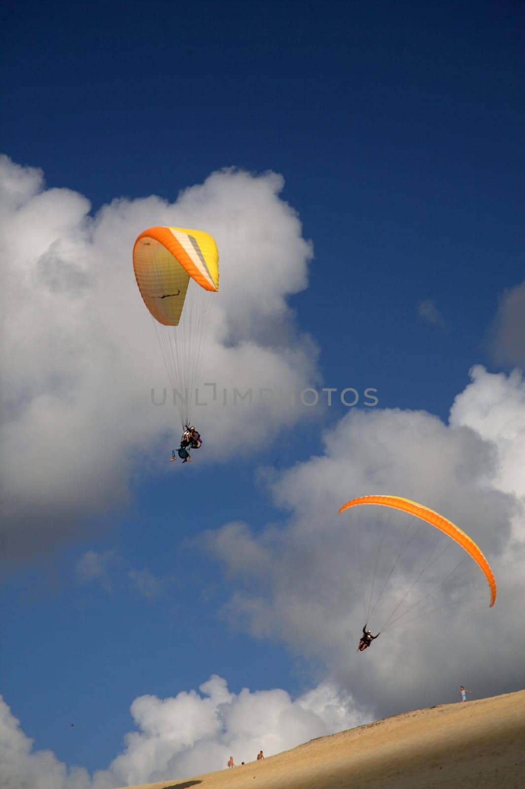 Paraglider 3