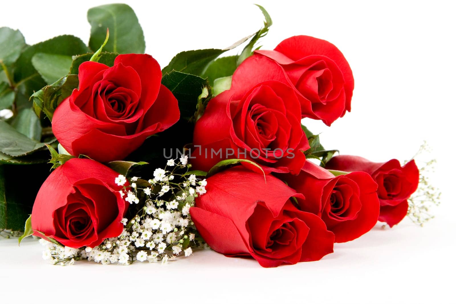 Red Rose