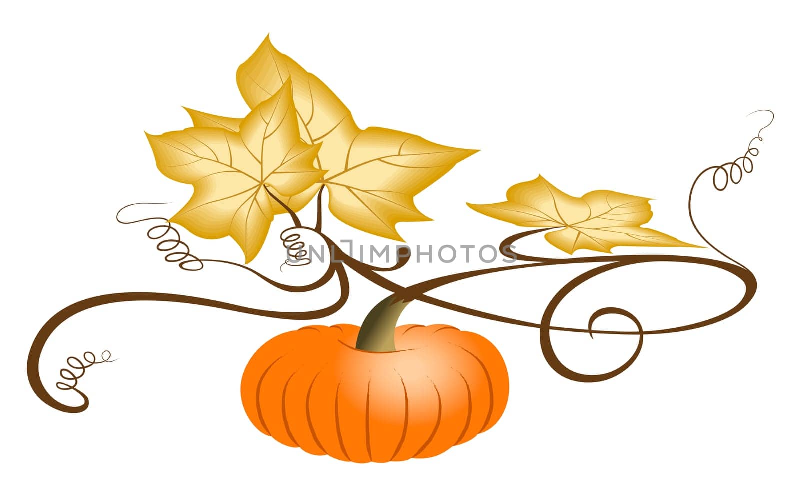 Autumn Pumpkin