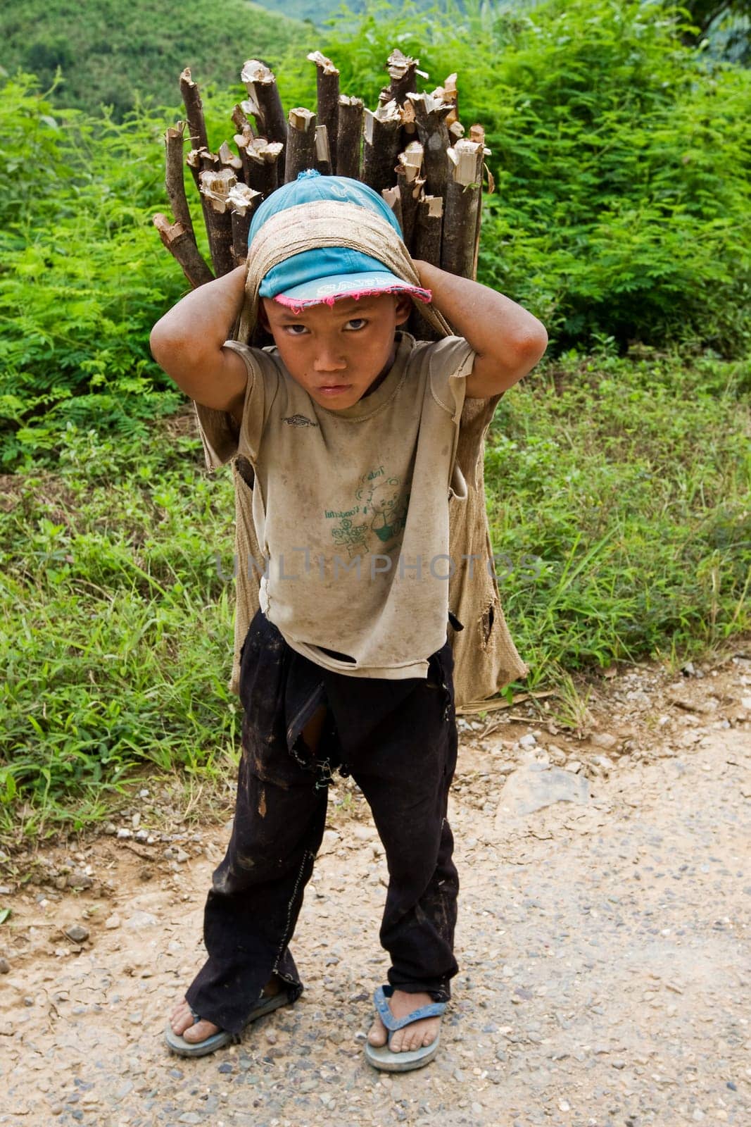Child transporting firewood,Laos
