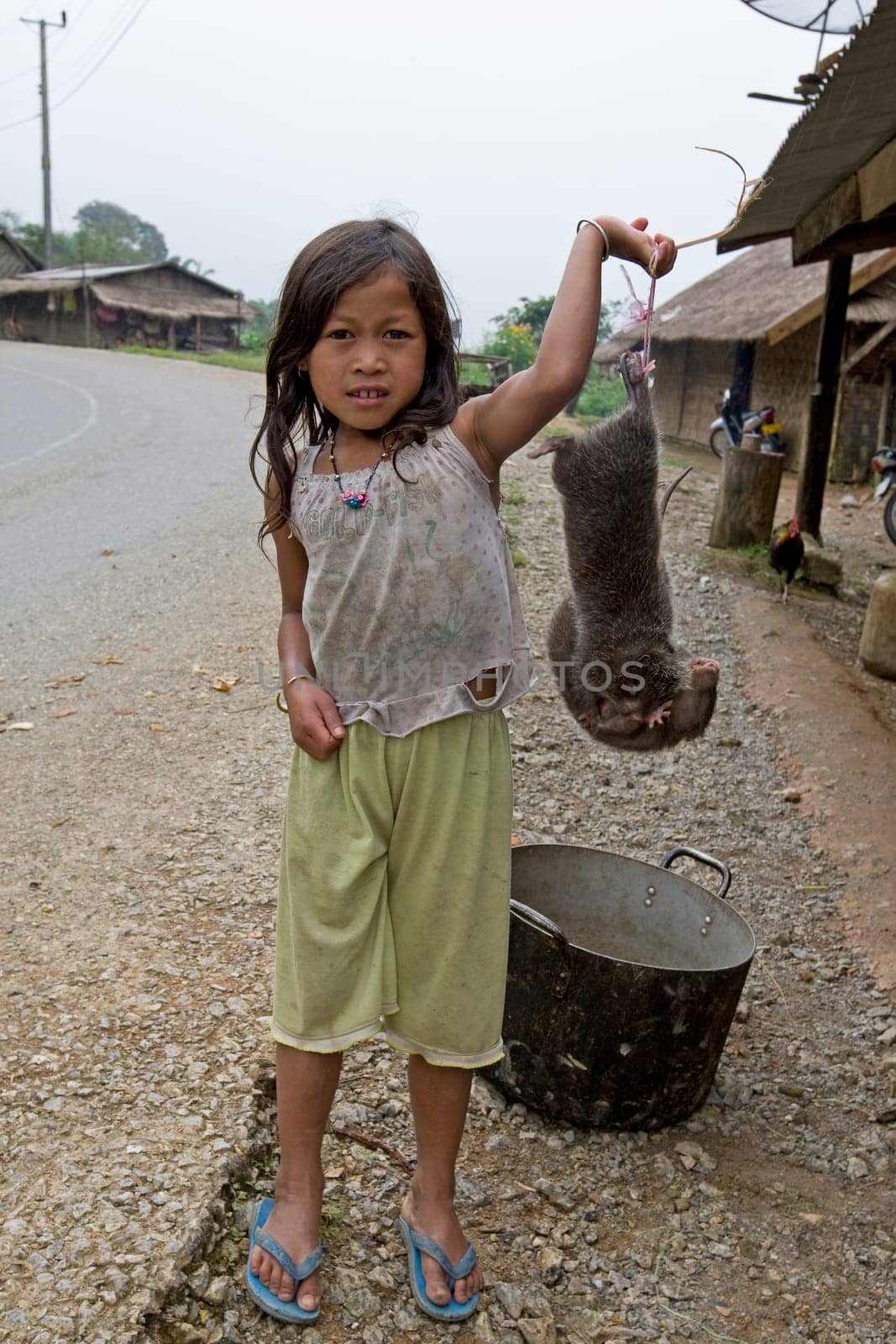 Child sells mole for food,Laos