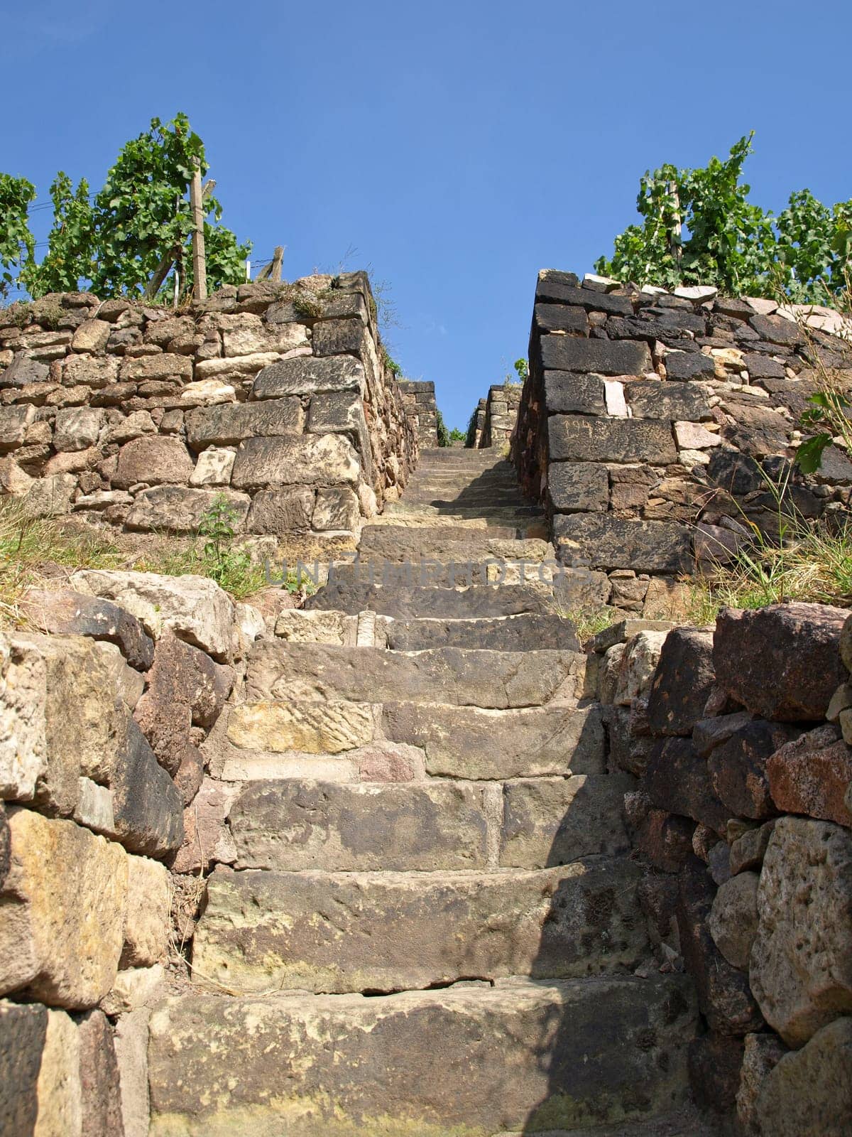 Vineyard Staircase