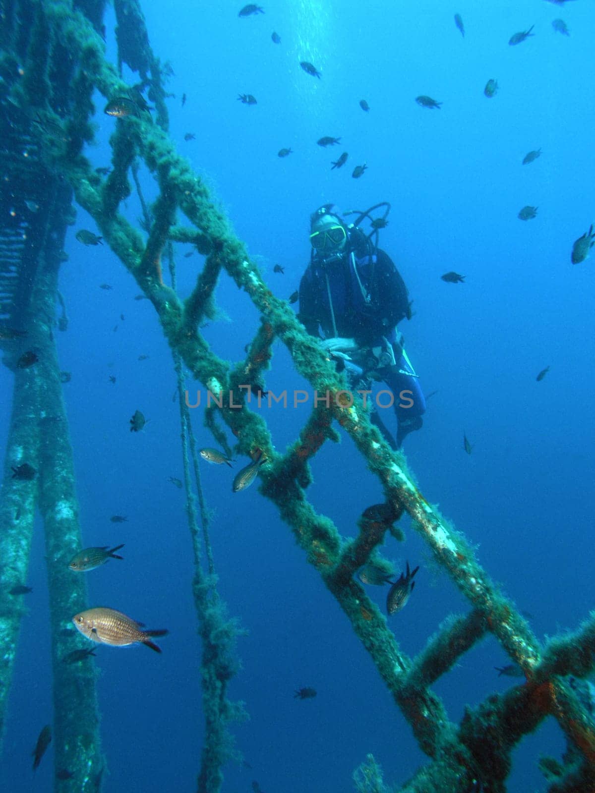 Wreck Diver