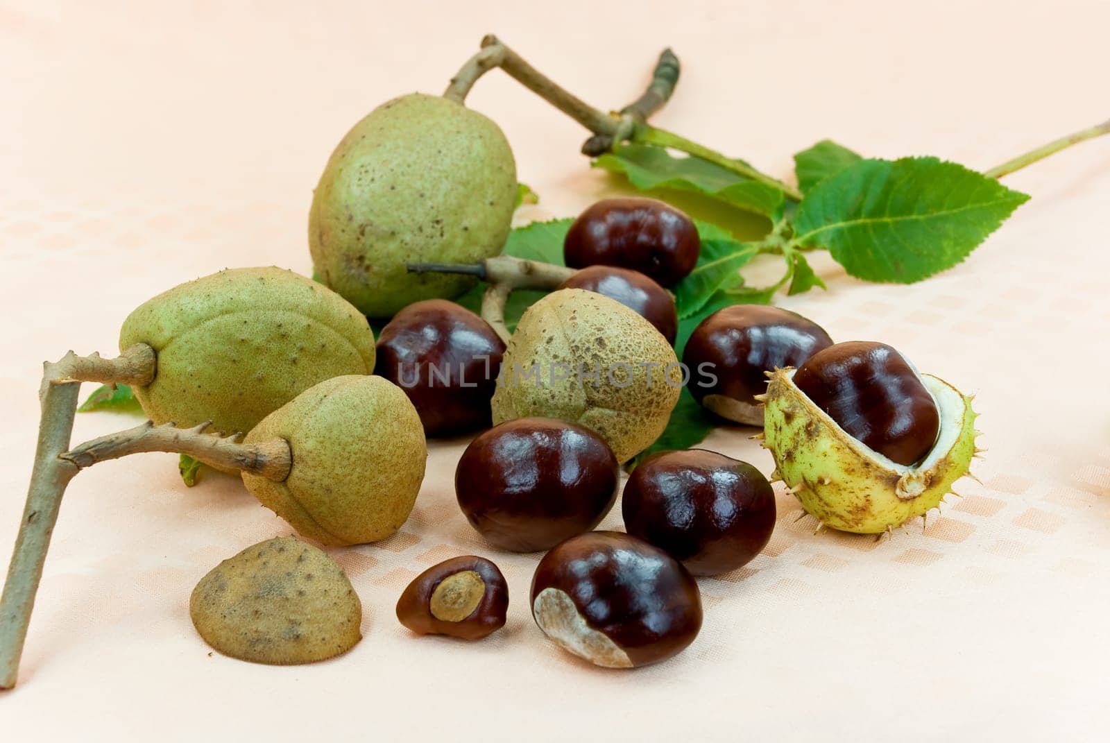 Chestnuts in October