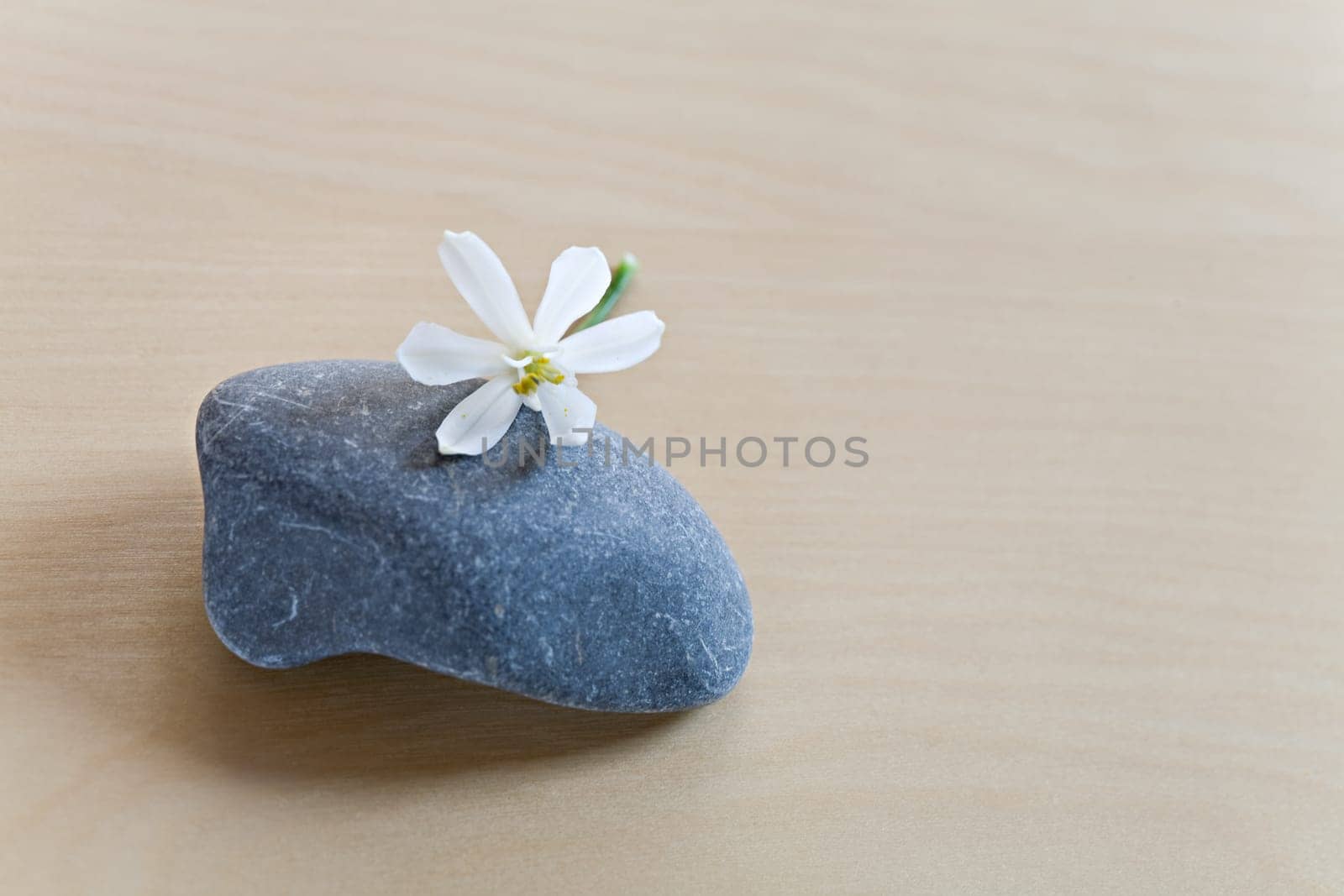 Pebble