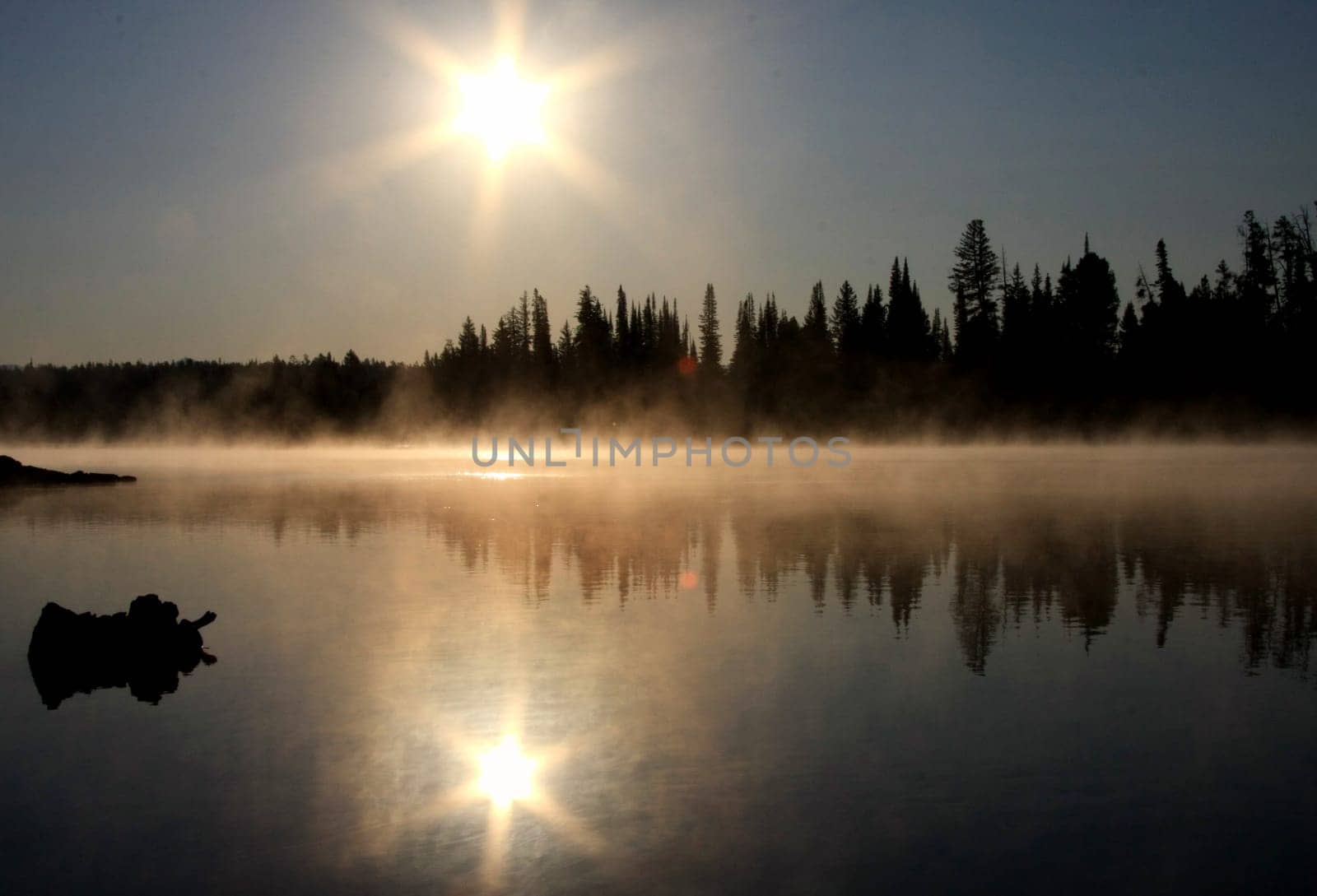 Yellowstone 001