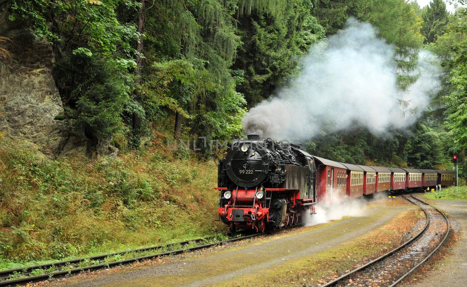Railway ride through the Harz Mountains.