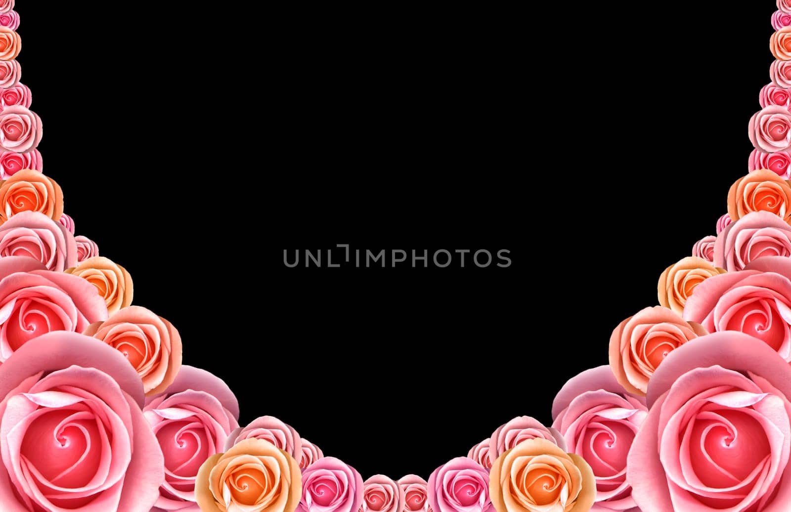 Framework from pink roses