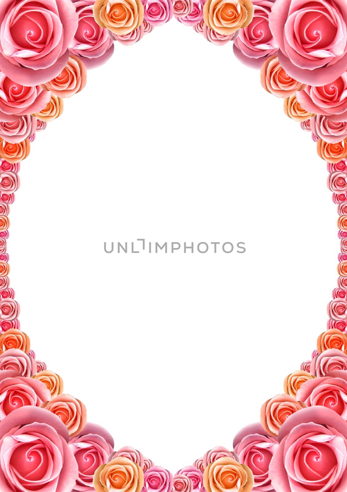 Framework from pink roses