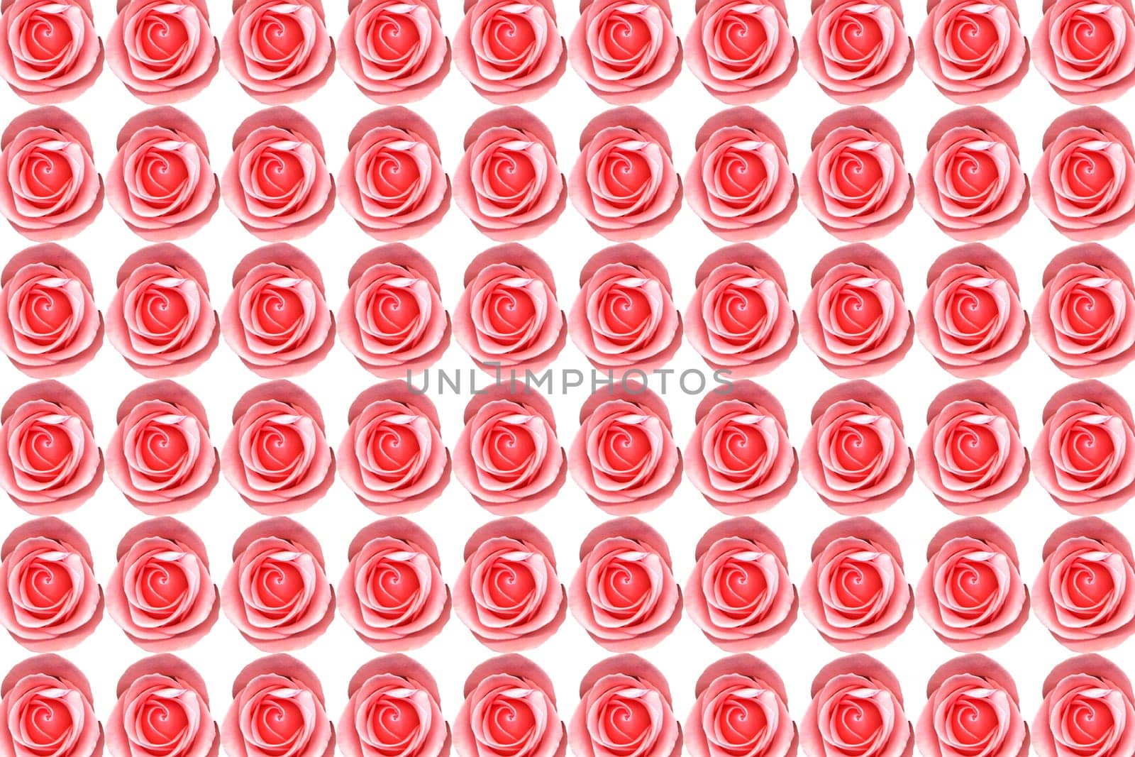 background work from pink roses