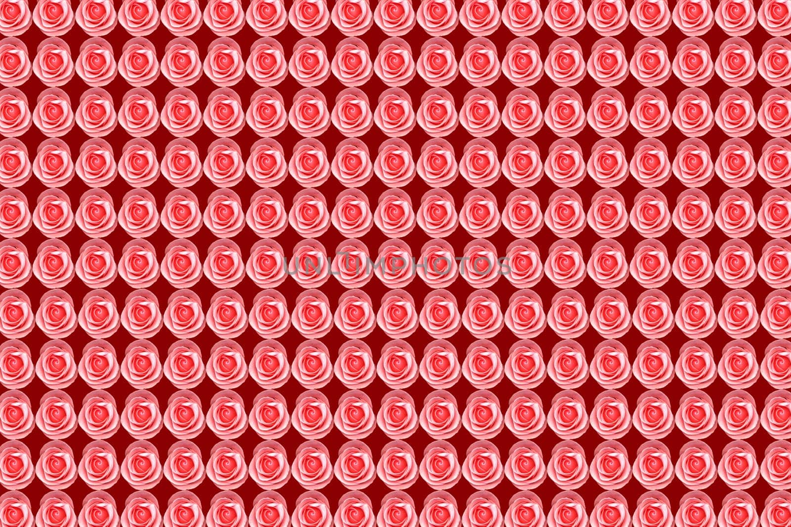 background work from pink roses
