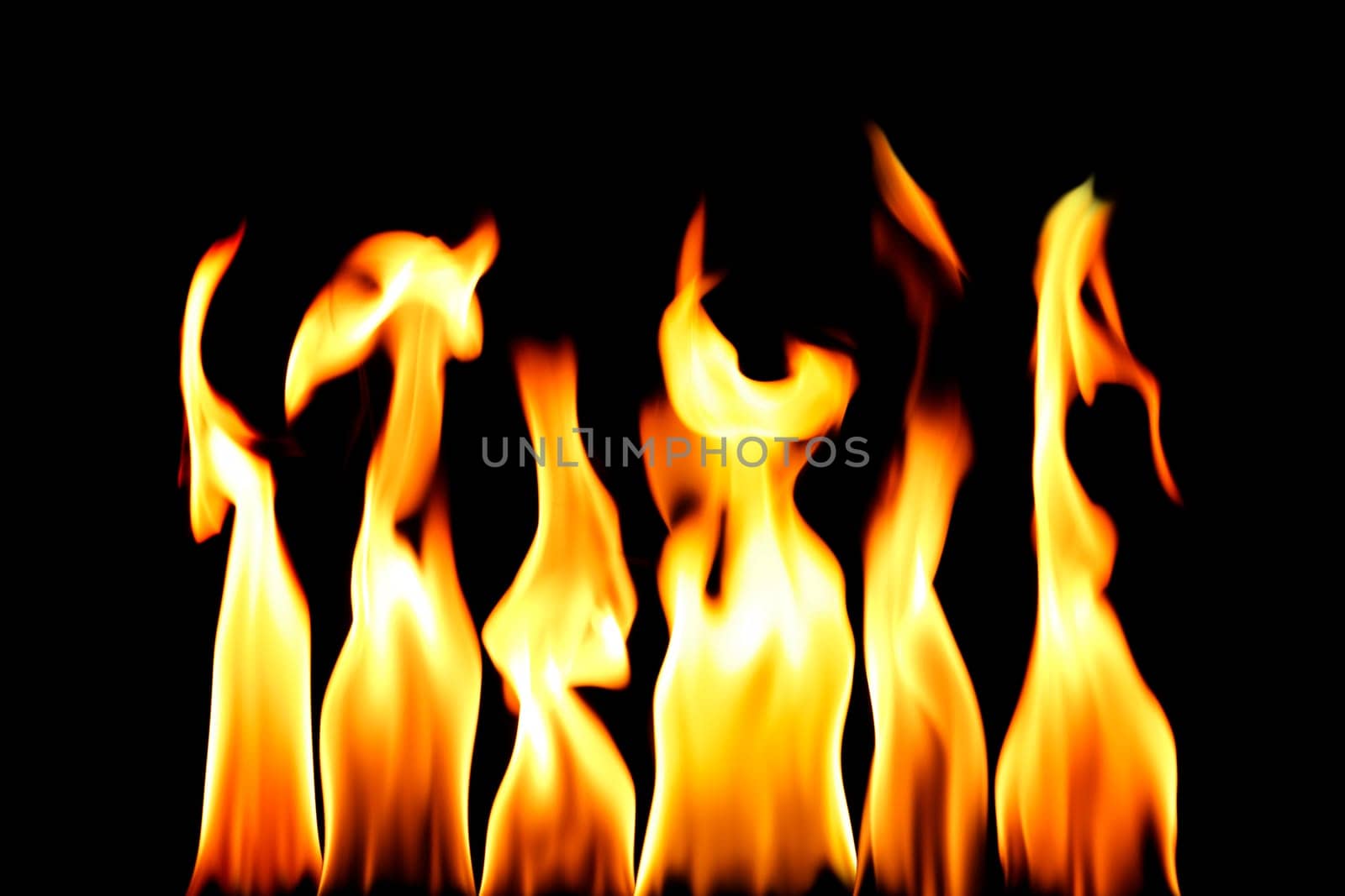 conceptual abstract fire flame