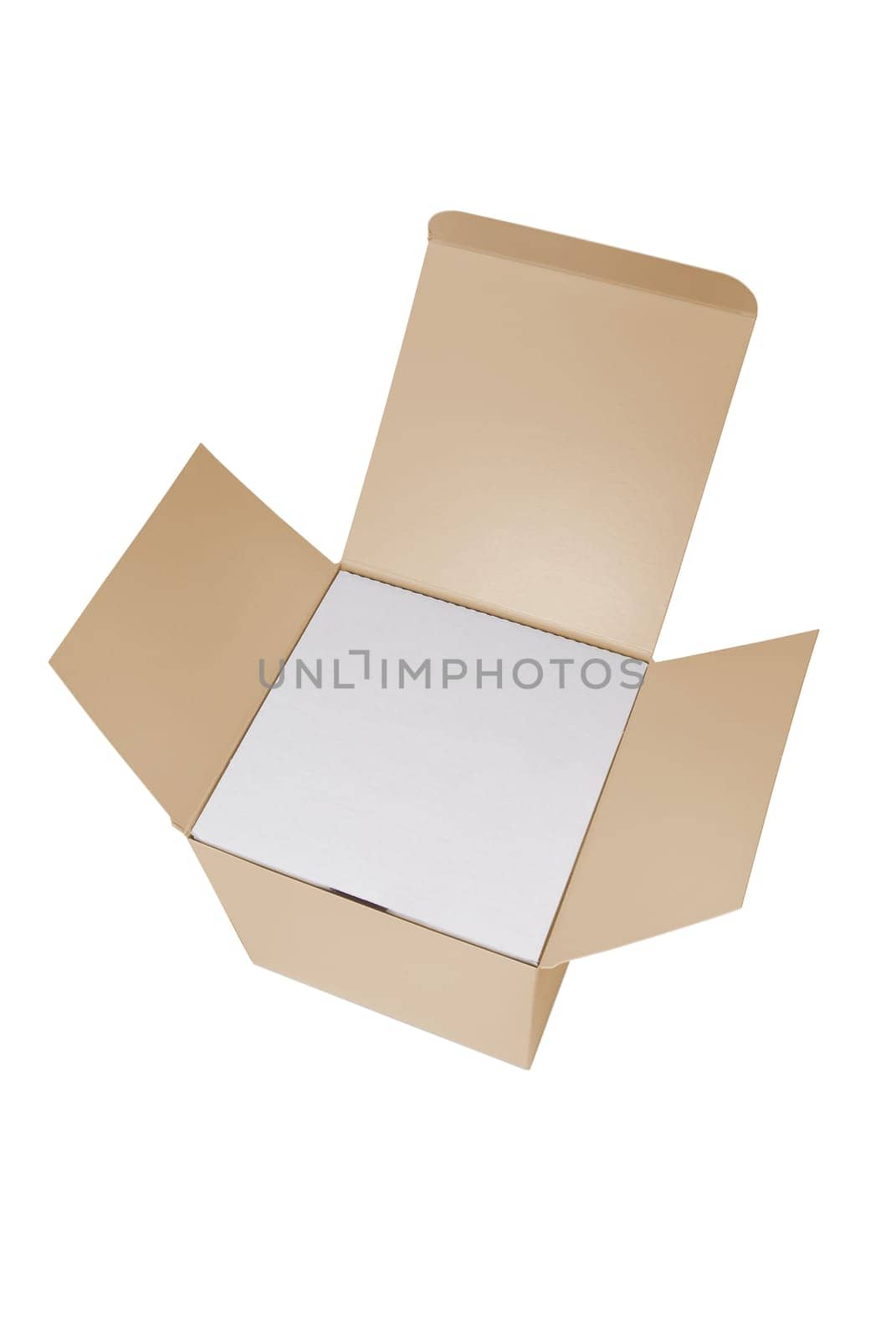 Cardboard