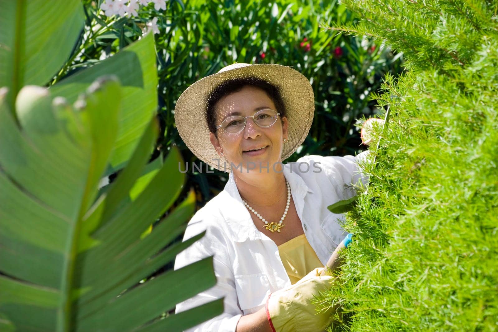 gardening