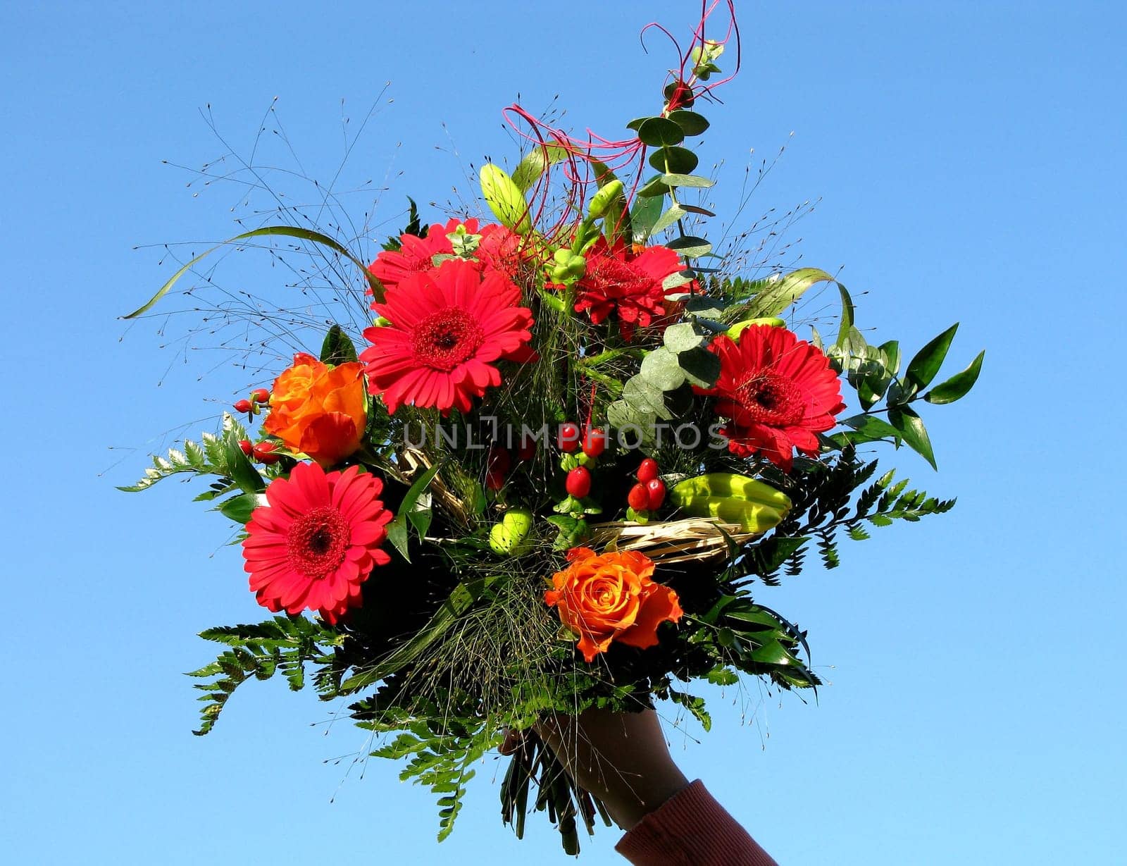 Bouquet of flowers with blue background