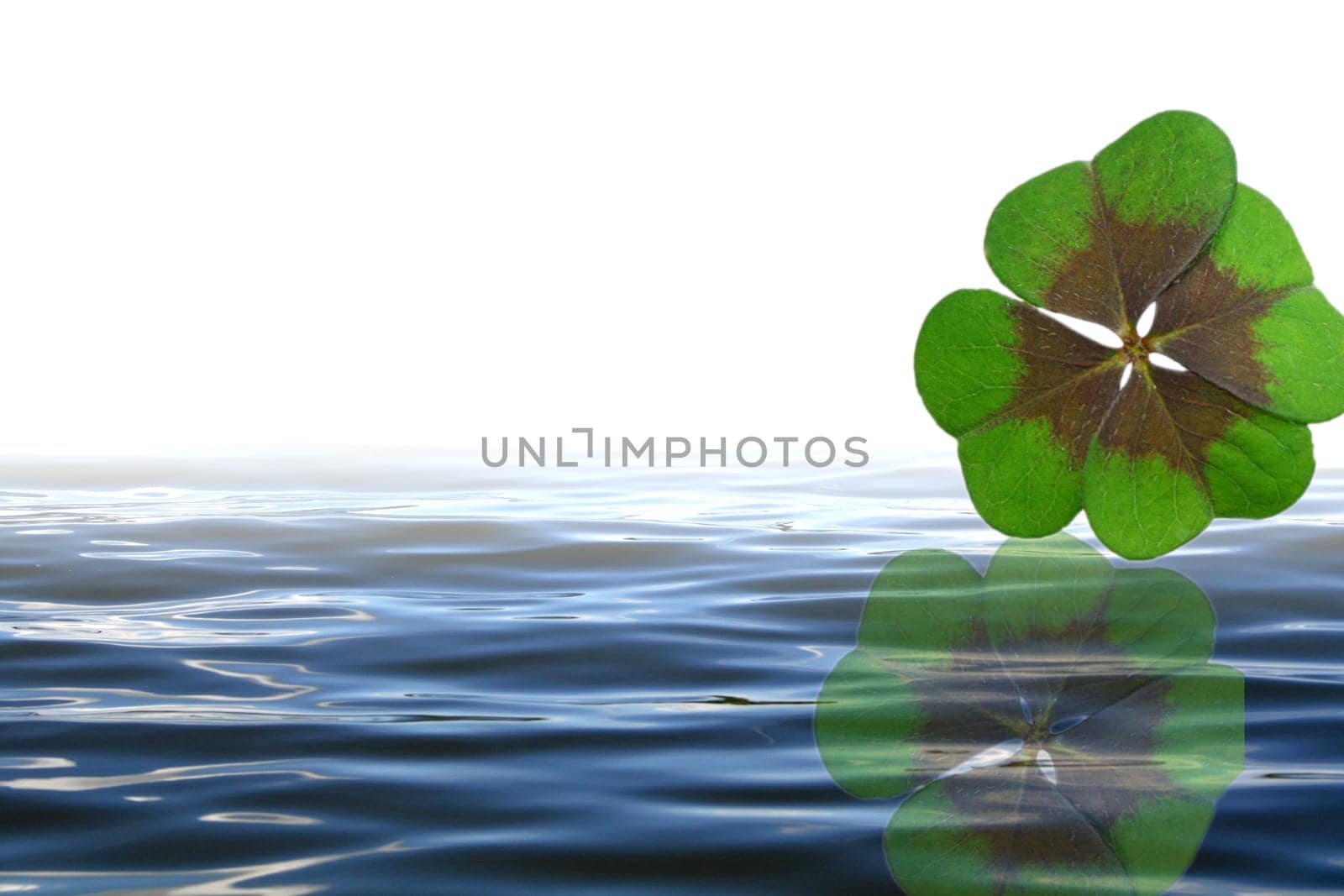 Cloverleaf