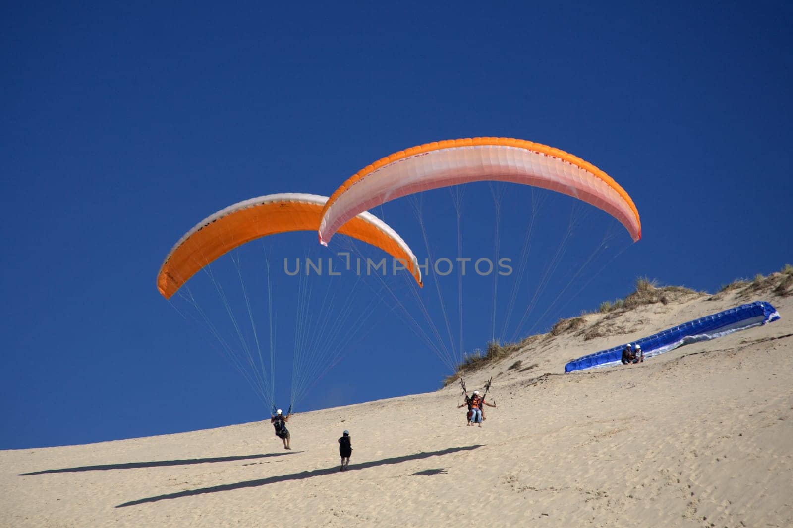 Paraglider 12