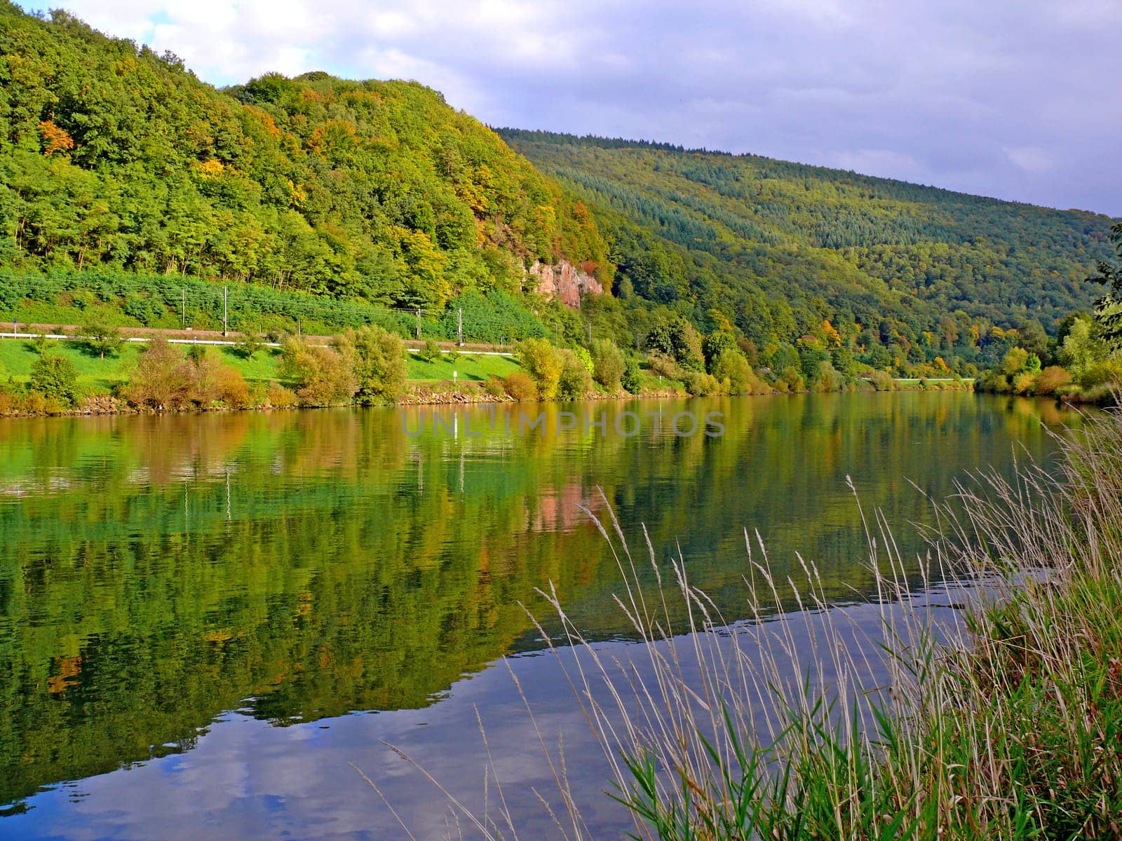 The Neckar: recorded in Rockenau on 04.10.2008 - The name "Neckar"" is of Celtic origin and means wild water or wild fellow."