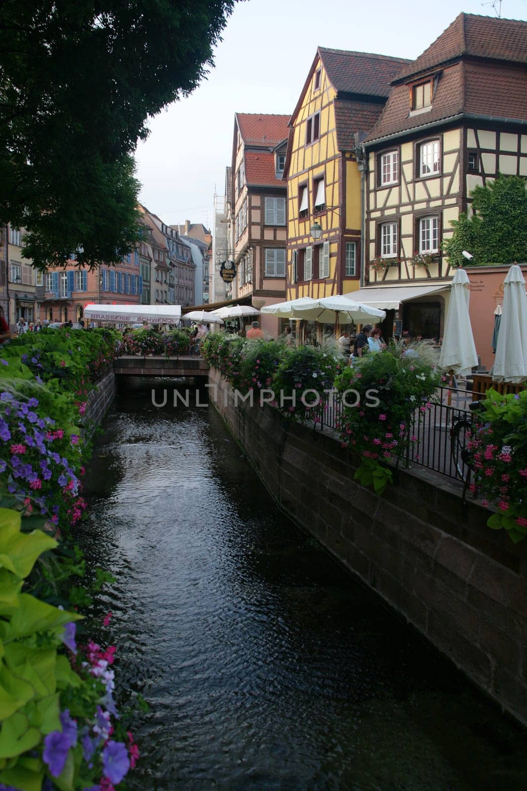 Colmar
