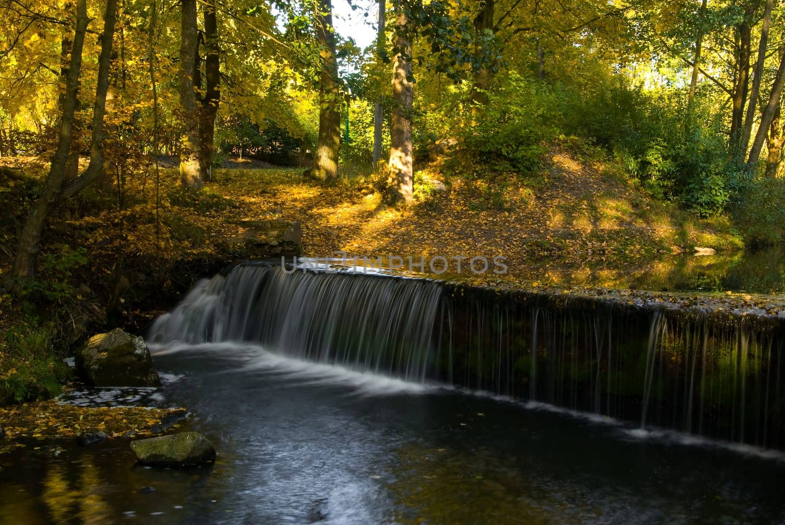 Autumn stream