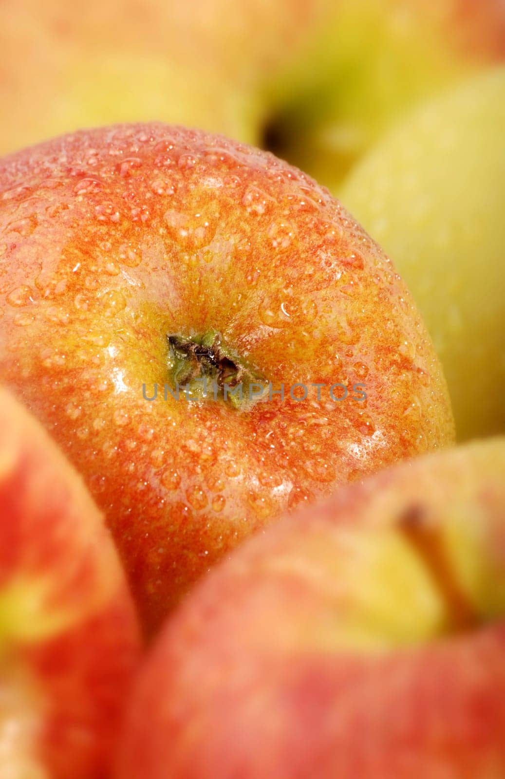 Apples without (New York)