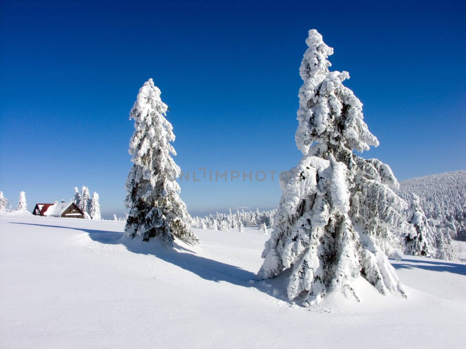 Czech Republic - Orlicke mountains