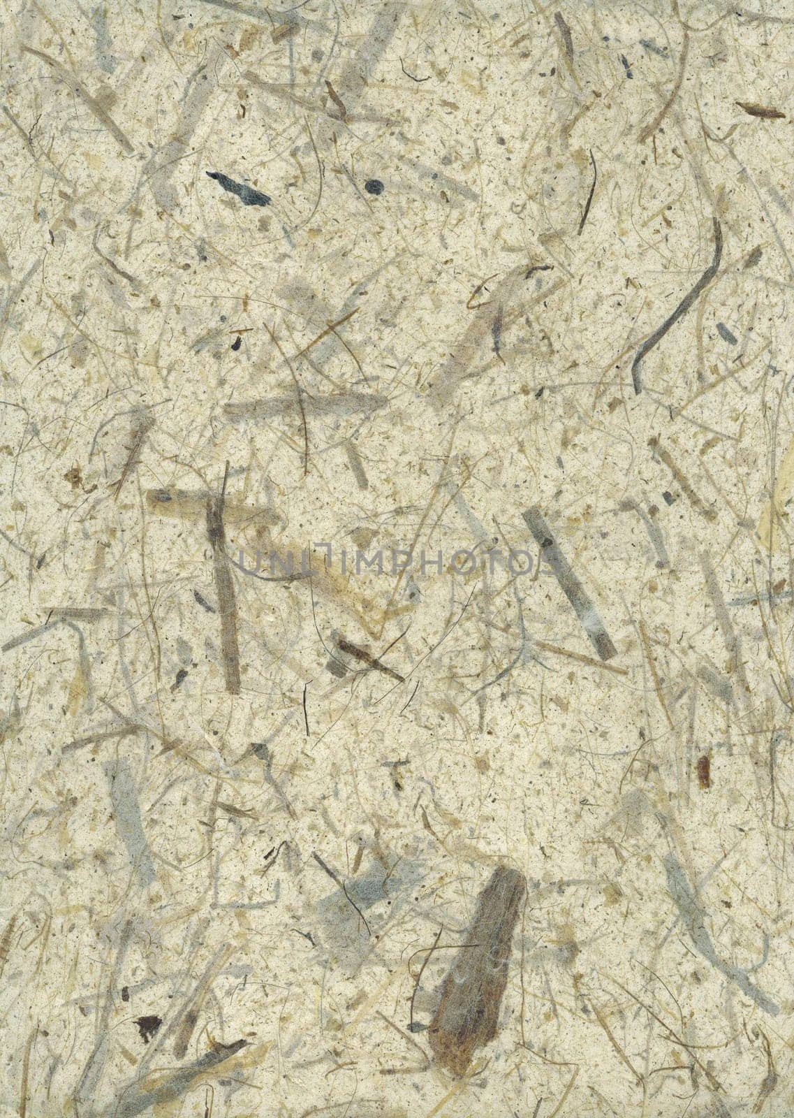 handmade paper with remains of plants