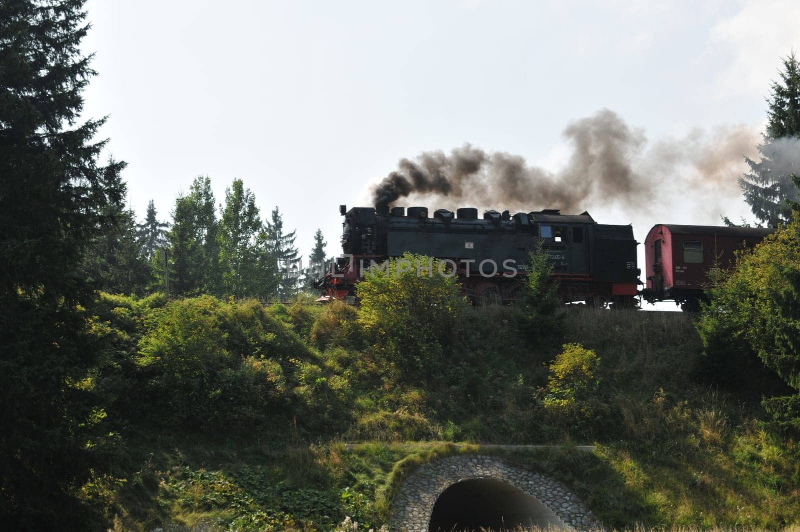 Narrow-gauge railway in the backlight...