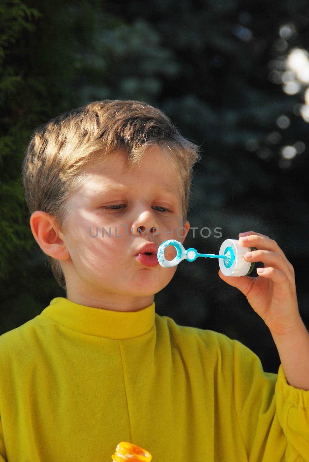 Soap Bubble 6271