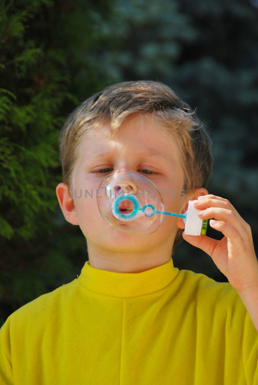 Soap Bubble 6268