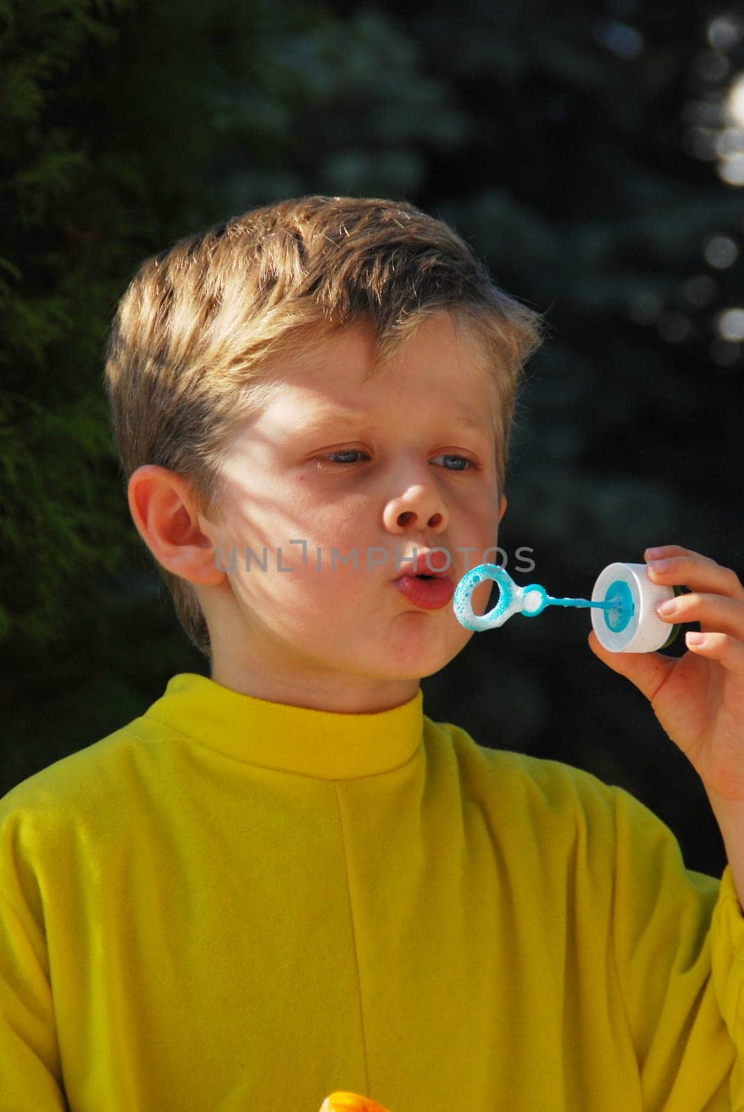 Soap Bubble 6270