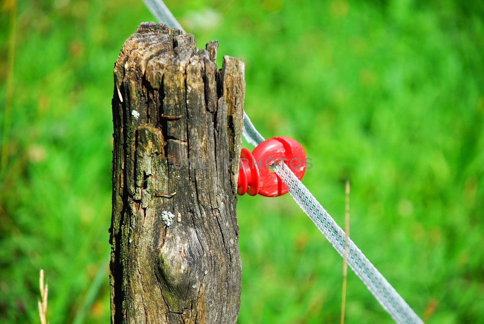 Pasture fence