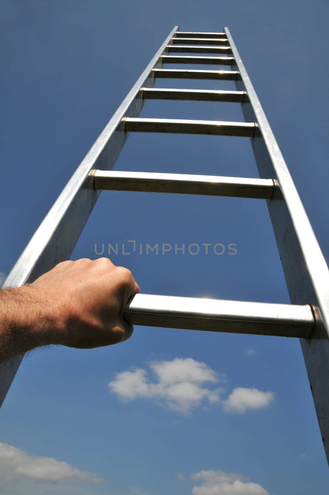 scale...