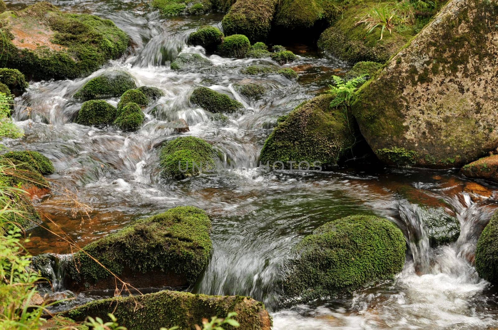 Small stream in the Upper Harz.