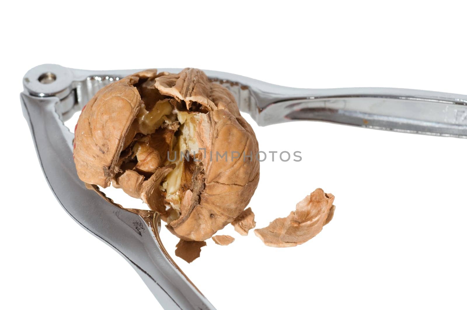 Walnut