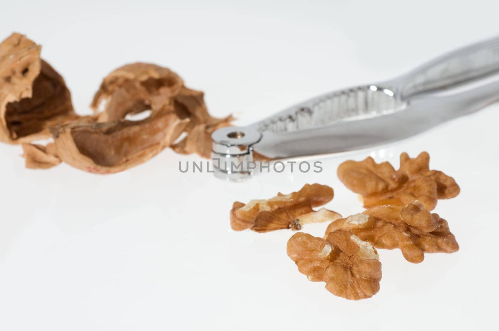 Walnut