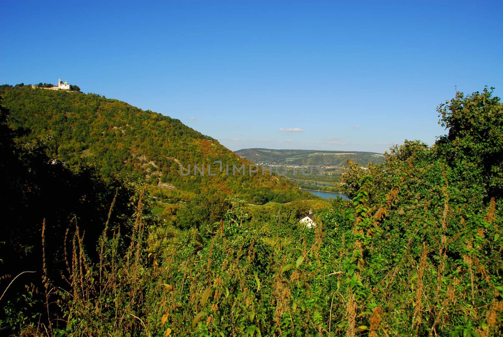The view from Kahlenberg