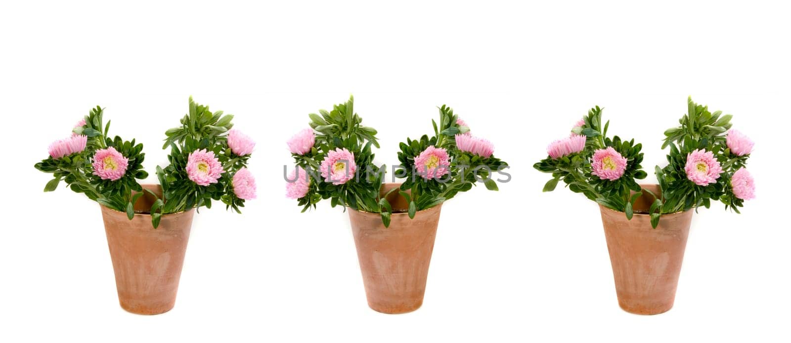 Three Vases