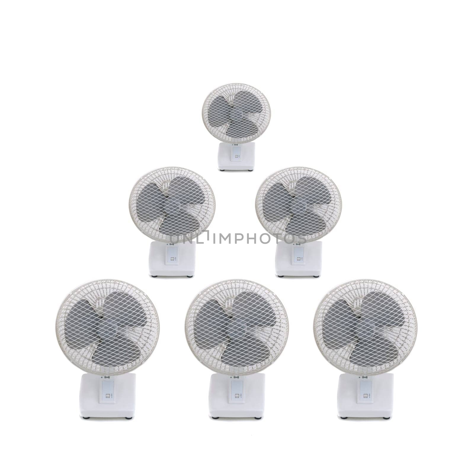 6 fans