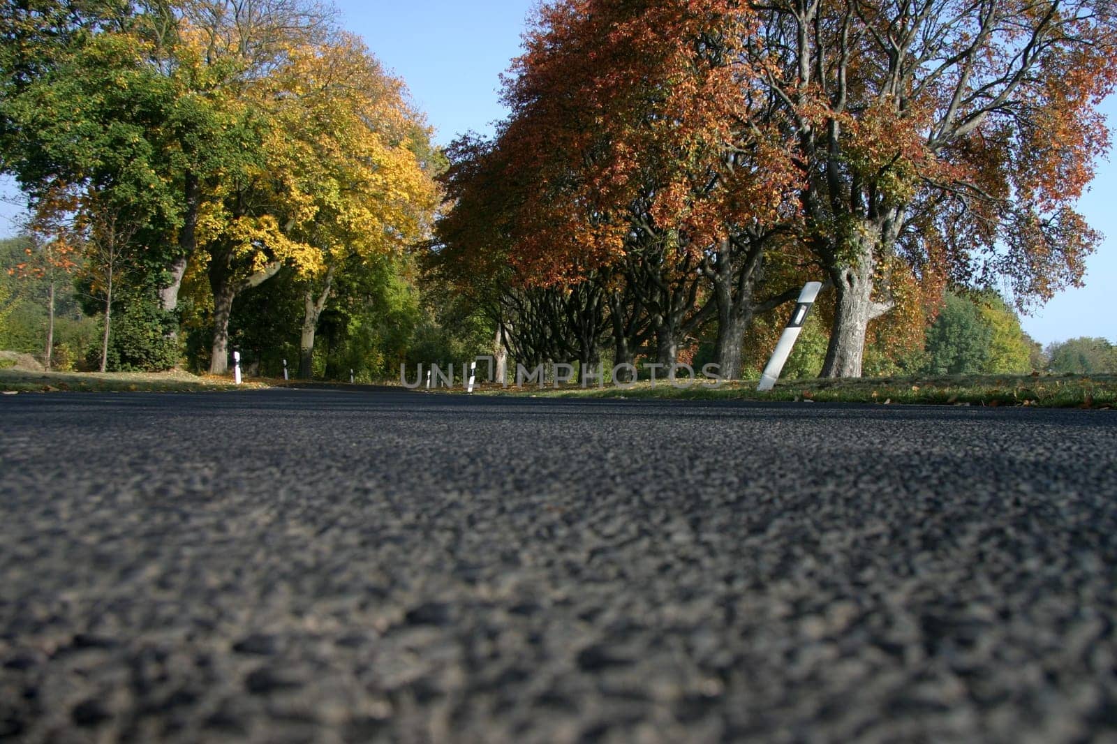 Autumn