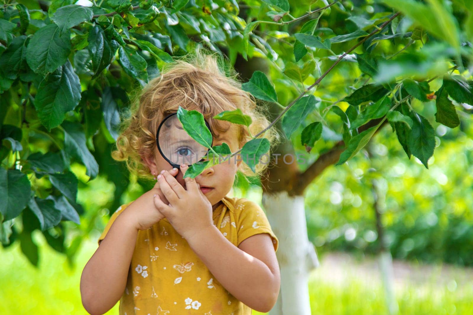 A child studies nature with a magnifying glass. Selective focus. by yanadjana