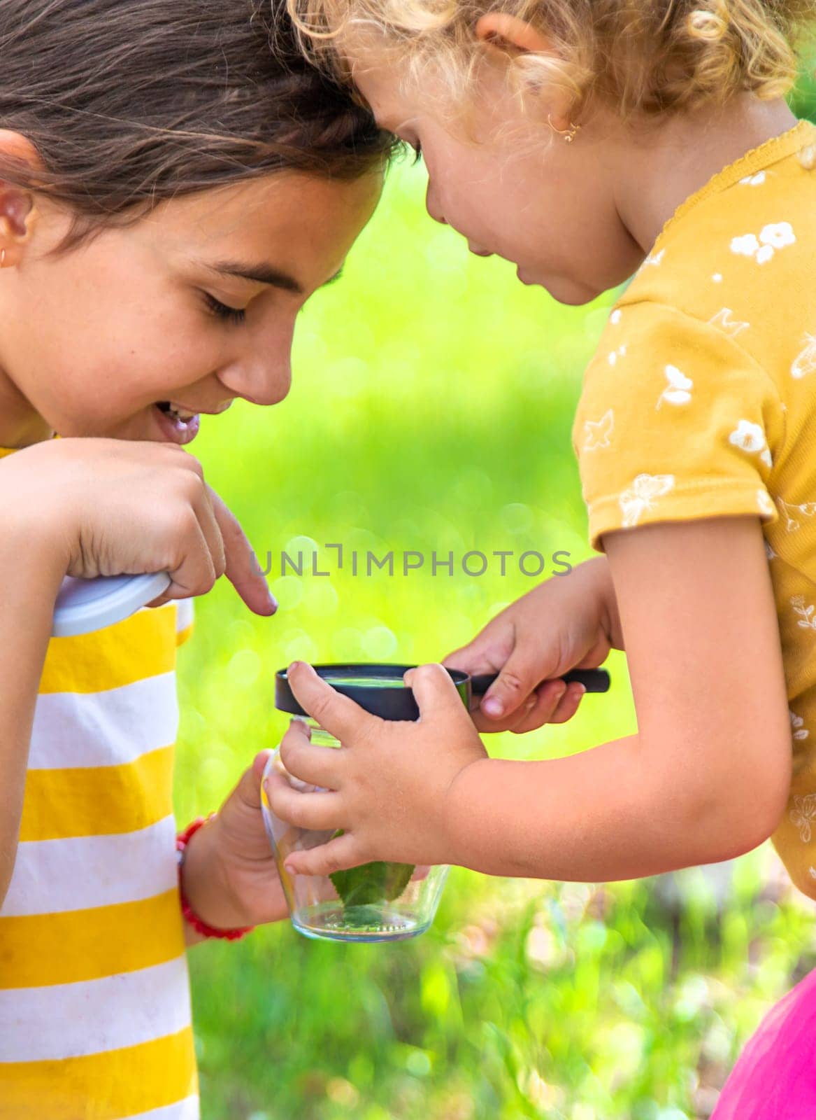 A child studies a beetle in a jar with a magnifying glass. Selective focus. by yanadjana