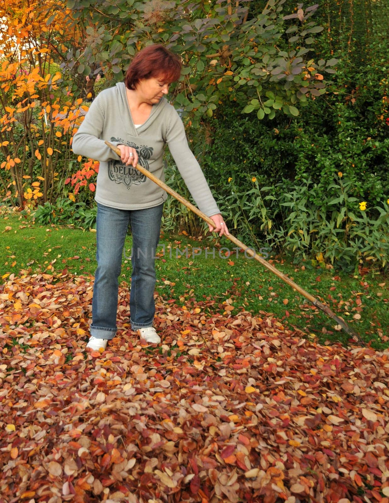 In the garden