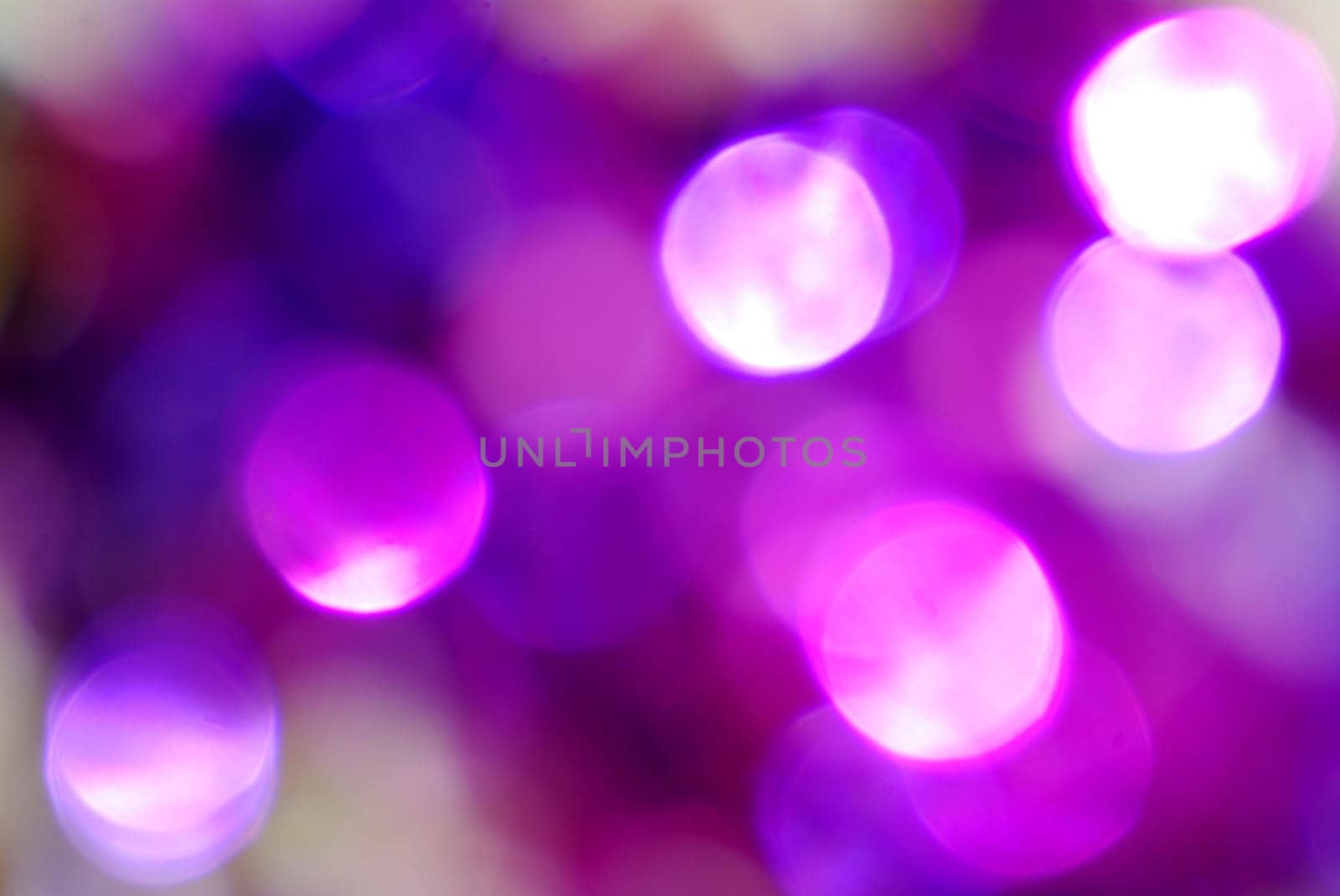 Purple Christmas